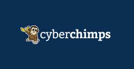cyberchimps-christmas-newyear-great-wordpress-themes-deal